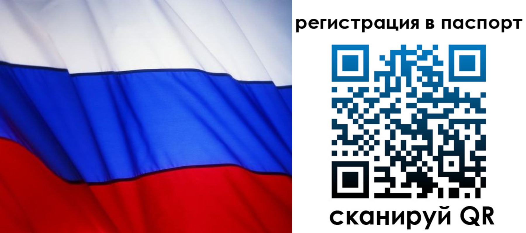 прописка 2025 в Высоковске